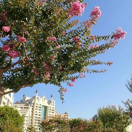 Private Penthouse With Seaview At Sunset Daire Ahyolu